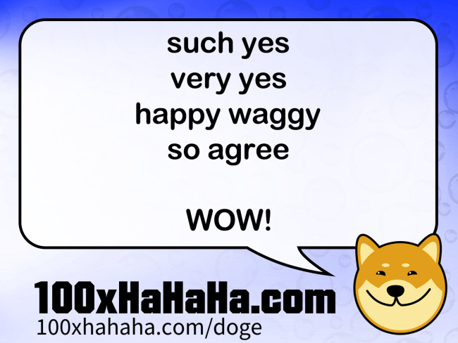 such yes / very yes / happy waggy / so agree / / WOW!