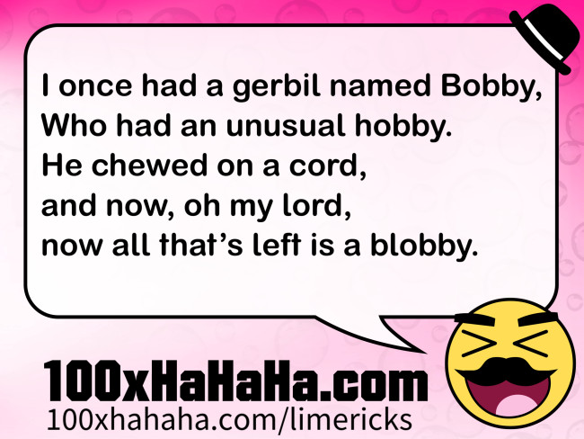 I once had a gerbil named Bobby, / Who had an unusual hobby. / He chewed on a cord, / and now, oh my lord, / now all that's left is a blobby.