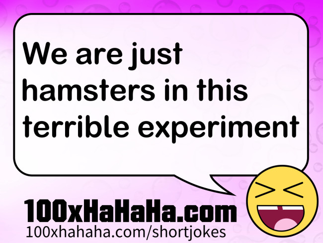 We are just hamsters in this terrible experiment