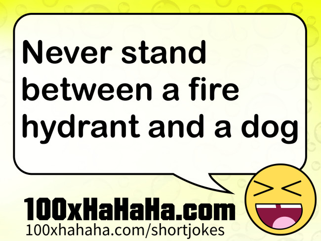 Never stand between a fire hydrant and a dog