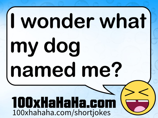 I wonder what my dog named me?