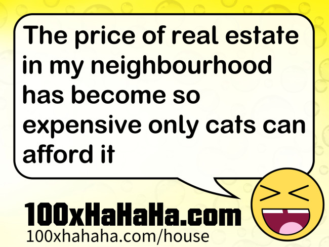 The price of real estate in my neighbourhood has become so expensive only cats can afford it