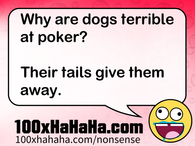 Why are dogs terrible at poker? / / Their tails give them away.