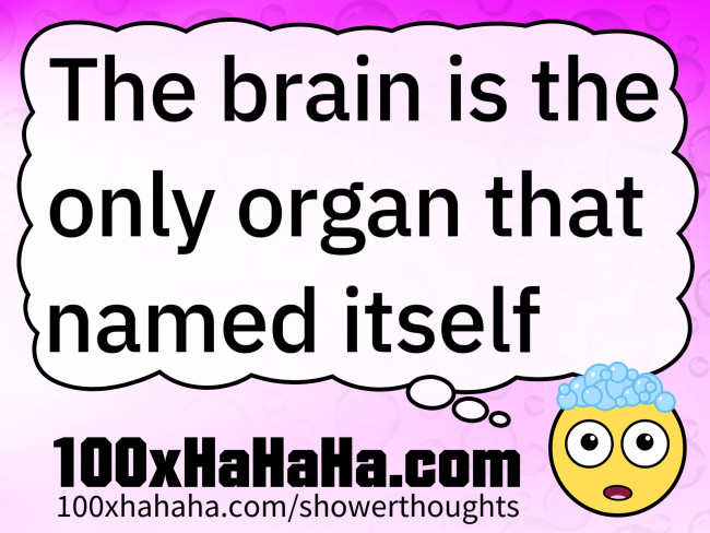 The brain is the only organ that named itself