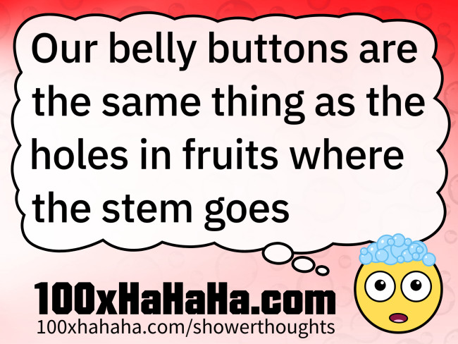 Our belly buttons are the same thing as the holes in fruits where the stem goes