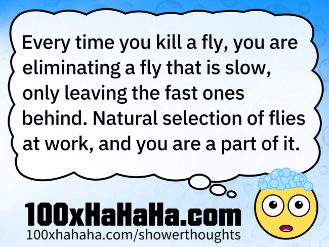 Every time you kill a fly, you are eliminating a fly that is slow, only leaving the fast ones behind. Natural selection of flies at work, and you are a part of it.