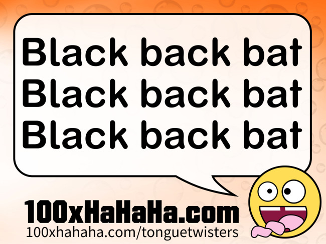 Black back bat / Black back bat / Black back bat