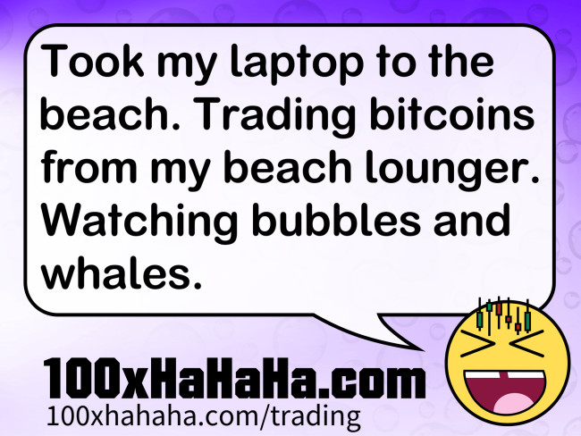 Took my laptop to the beach. Trading bitcoins from my beach lounger. Watching bubbles and whales.