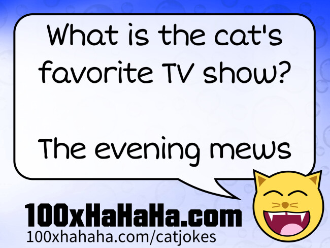 What is the cat's favorite TV show? / / The evening mews