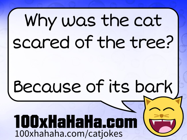 Why was the cat scared of the tree? / / Because of its bark