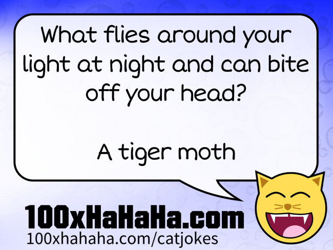 What flies around your light at night and can bite off your head? / / A tiger moth