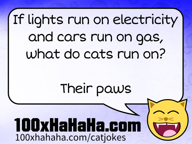 If lights run on electricity and cars run on gas, what do cats run on? / / Their paws
