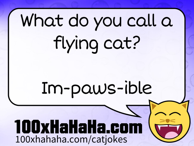 What do you call a flying cat? / / Im-paws-ible