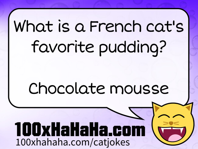 What is a French cat's favorite pudding? / / Chocolate mousse