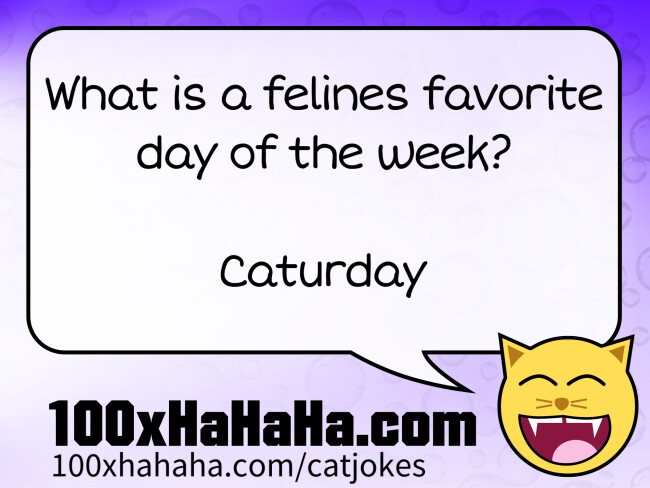 What is a felines favorite day of the week? / / Caturday