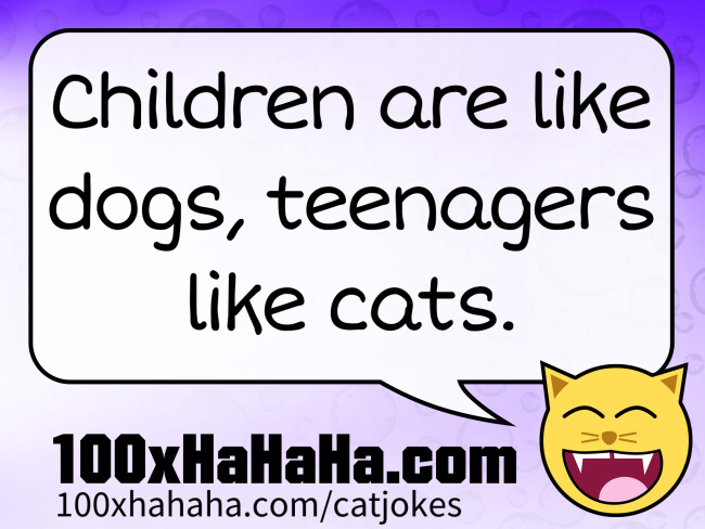 Children are like dogs, teenagers like cats.