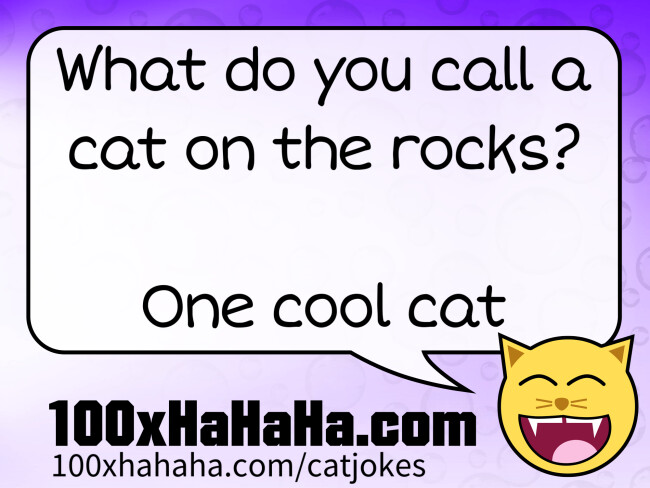 What do you call a cat on the rocks? / / One cool cat
