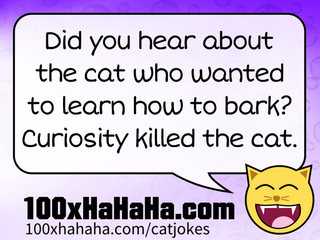 Did you hear about the cat who wanted to learn how to bark? Curiosity killed the cat.