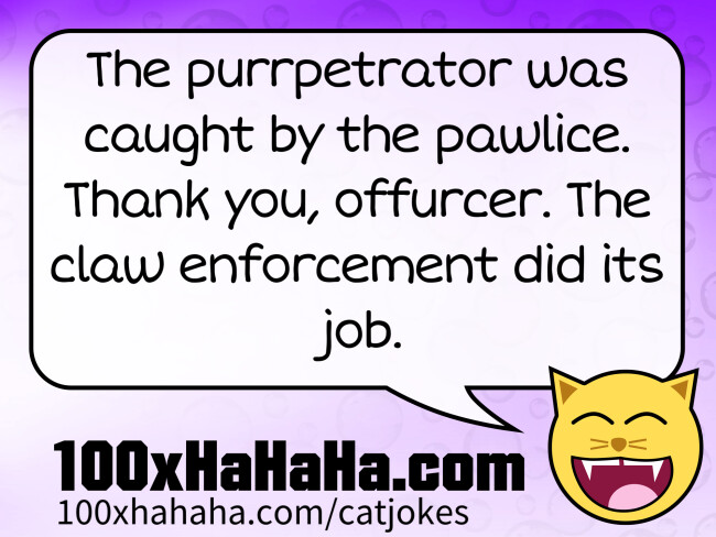 The purrpetrator was caught by the pawlice. Thank you, offurcer. The claw enforcement did its job.