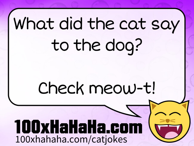 What did the cat say to the dog? / / Check meow-t!