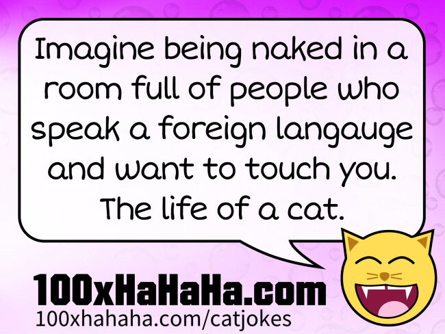 Imagine being naked in a room full of people who speak a foreign langauge and want to touch you. The life of a cat.