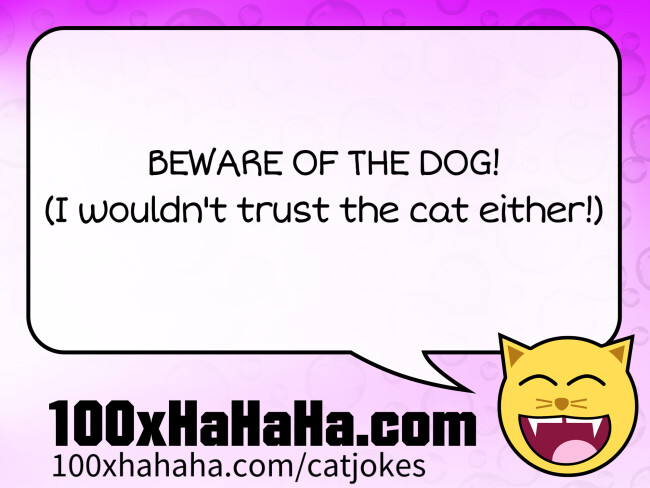 BEWARE OF THE DOG! / (I wouldn't trust the cat either!)