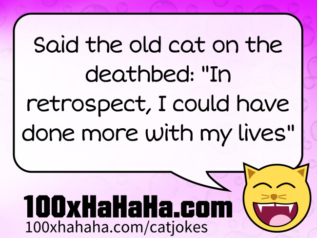 Said the old cat on the deathbed: "In retrospect, I could have done more with my lives"