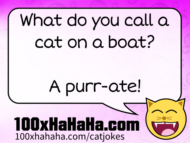 What do you call a cat on a boat? / / A purr-ate!