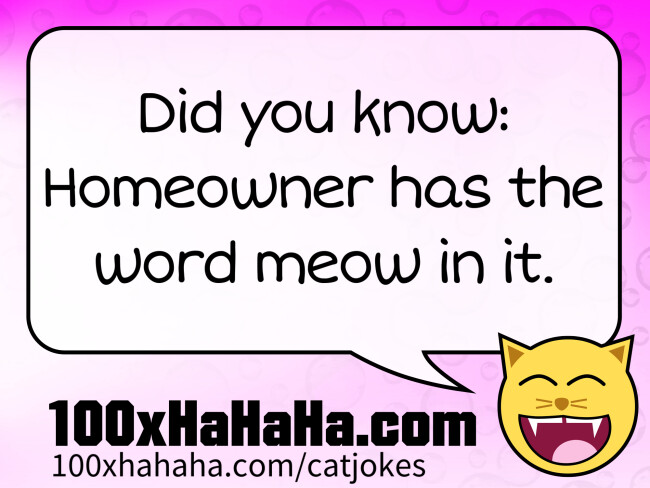 Did you know: Homeowner has the word meow in it.