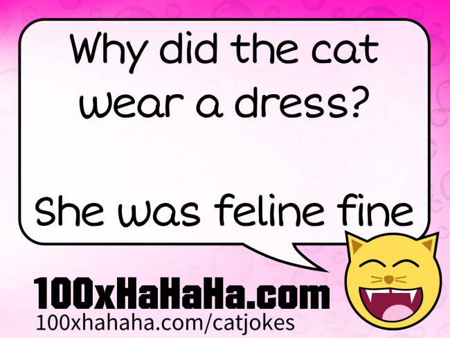 Why did the cat wear a dress? / / She was feline fine