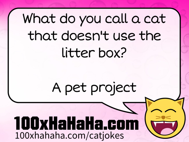 What do you call a cat that doesn't use the litter box? / / A pet project