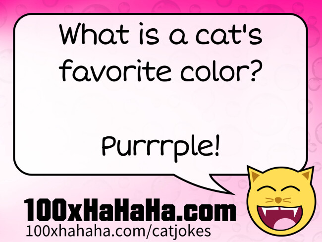 What is a cat's favorite color? / / Purrrple!
