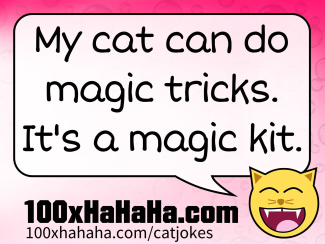 My cat can do magic tricks. It's a magic kit.