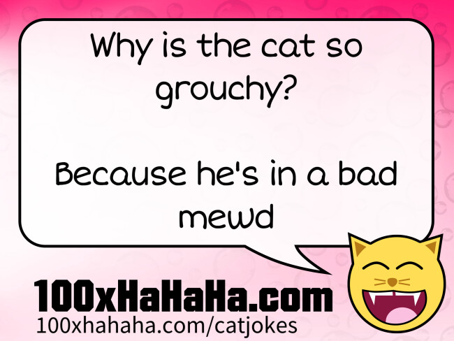 Why is the cat so grouchy? / / Because he's in a bad mewd