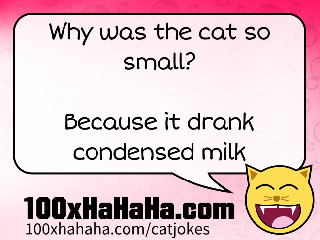 Why was the cat so small? / / Because it drank condensed milk