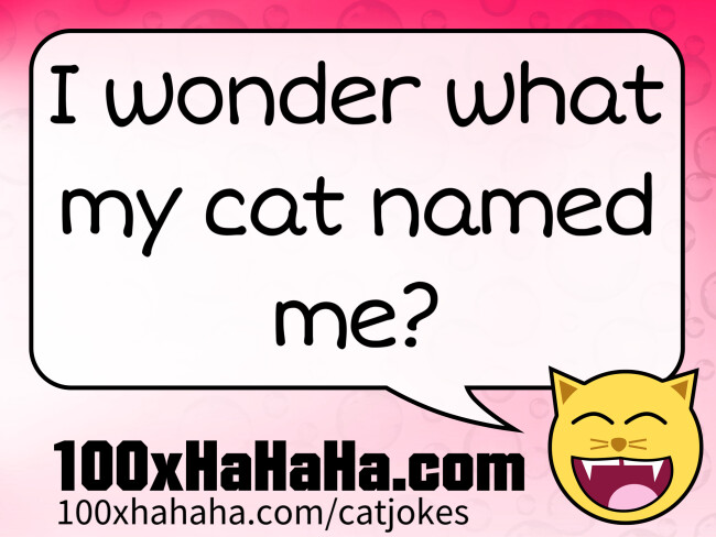 I wonder what my cat named me?
