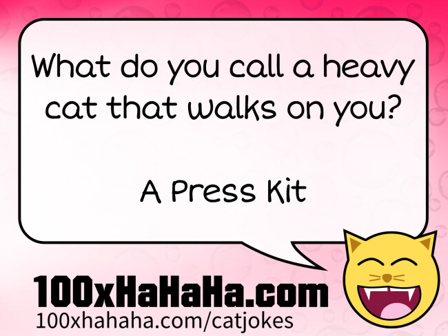 What do you call a heavy cat that walks on you? / / A Press Kit