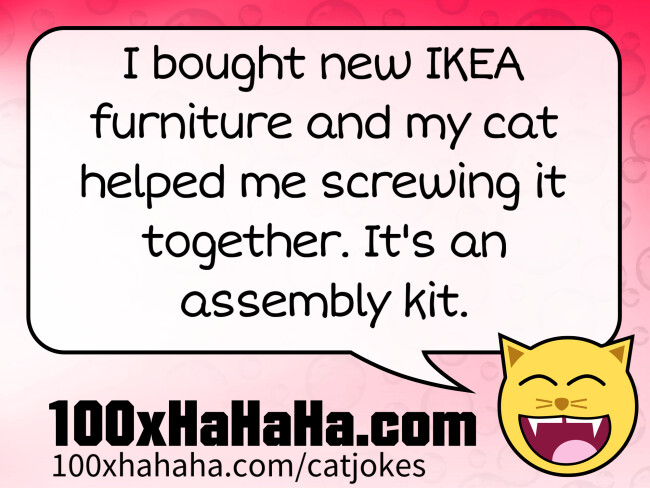 I bought new IKEA furniture and my cat helped me screwing it together. It's an assembly kit.