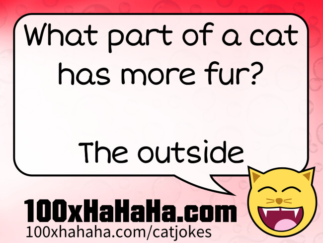 What part of a cat has more fur? / / The outside