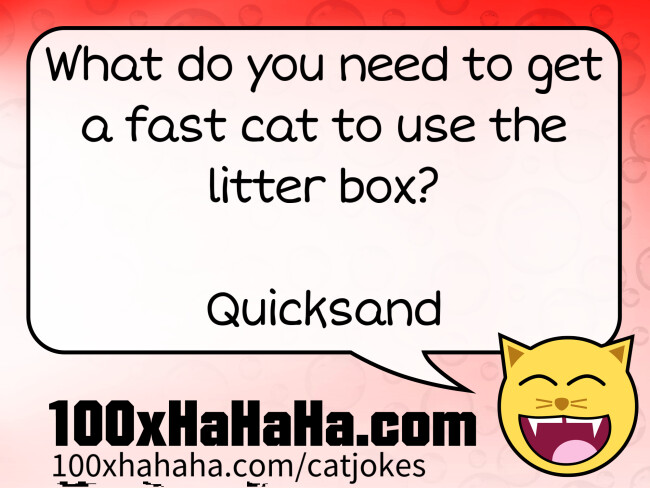 What do you need to get a fast cat to use the litter box? / / Quicksand