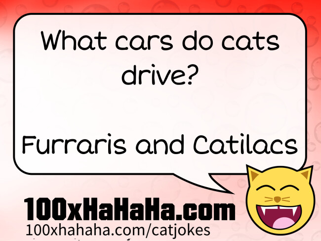 What cars do cats drive? / / Furraris and Catilacs