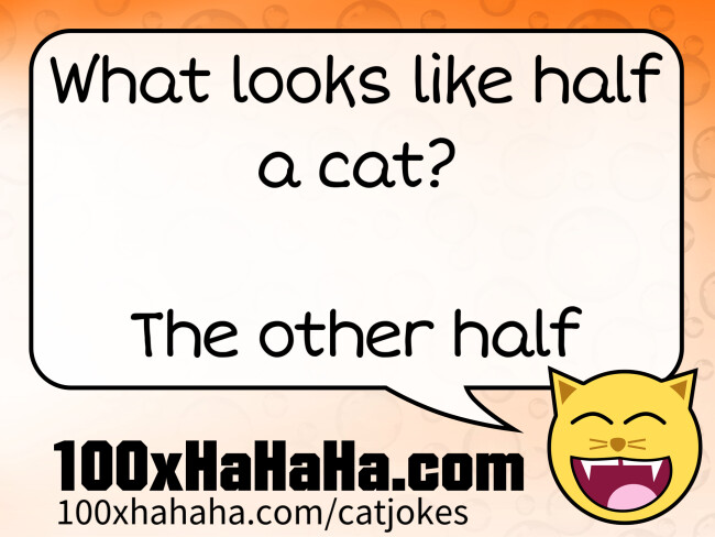 What looks like half a cat? / / The other half