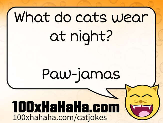 What do cats wear at night? / / Paw-jamas