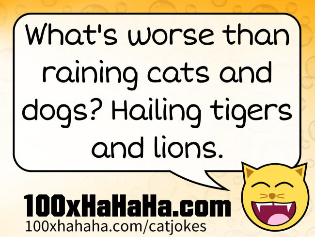 What's worse than raining cats and dogs? Hailing tigers and lions.