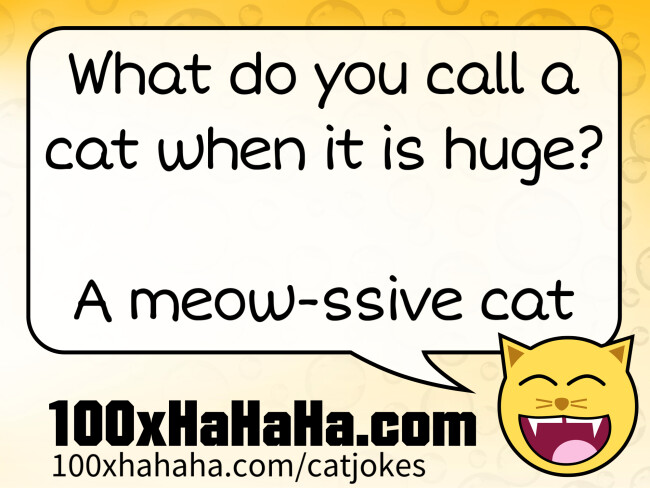 What do you call a cat when it is huge? / / A meow-ssive cat