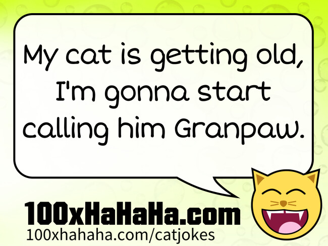 My cat is getting old, I'm gonna start calling him Granpaw.