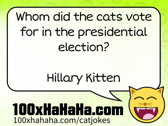 Whom did the cats vote for in the presidential election? / / Hillary Kitten
