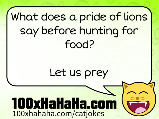 What does a pride of lions say before hunting for food? / / Let us prey