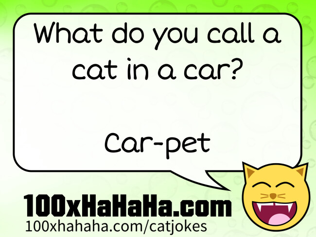 What do you call a cat in a car? / / Car-pet