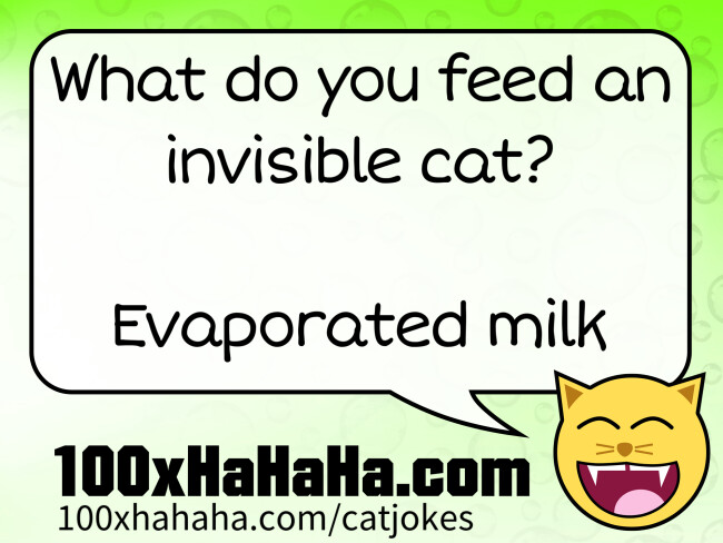 What do you feed an invisible cat? / / Evaporated milk